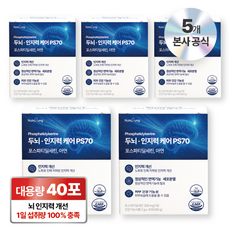 뉴트리정 두뇌 인지력 케어 ps70 포스파티딜세린 아연 분말스틱 40포, 5박스, 80g