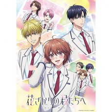 야마네 아야 블루레이 디스크 DVD 아름다운 그대에게 박스 볼륨 2 각권 오리지널 특전 캐라파인 매트 포함 완전생산 일본 발송