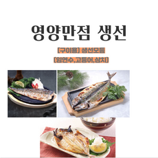 [영양만점] 영이표 건강식 [구이용]생선모듬(고등어 삼치 임연수), 고등어, 1개