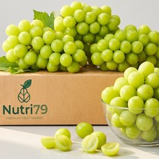 샤인머스켓 초고당도 제철과일 산지직송 가정용 씨없는 포도, 1개, 샤인머스켓 1수 500g