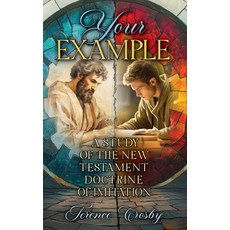 (영문도서)Your Example: A Study of the New Testament Doctrine of Imitation Paperback, Ambassador International, English, 9781649608772