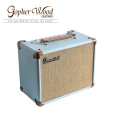 고퍼우드 Ark15 일렉기타 연습용 앰프 2세대, 1개