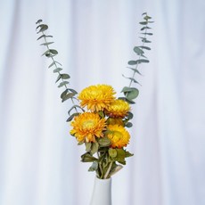 玫瑰幹花混搭花束 勿忘我diy客廳房間真花擺件 ins北歐風家居裝飾, 4枝黃雛菊花束(無瓶)