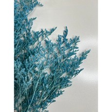 花藝夢*永生卡斯比亞 "小份5克販售" 買5送1 顏色隨機 不凋花 永生花 乾燥花材, 深藍