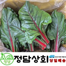 [ 정담상회 ] 국내산 적근대 1kg 2kg 내외, 1박스