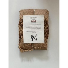 핸드메이드 디자인 식물 접시 디저트 표본 작은 나뭇잎 유리, 잎유리판 (입세 포장)