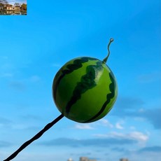 자동차 안테나볼 귀여운 선물 악세사리 튜닝 diy 장식 새차 모형 용품 실외, 미니 수박은 안테나를 달지 않는다.