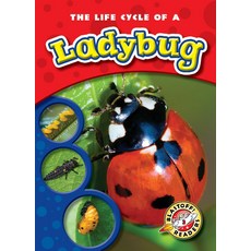 무당벌레의 생애 주기 주기: 블라스트오프! 독자 레벨 3, 기본