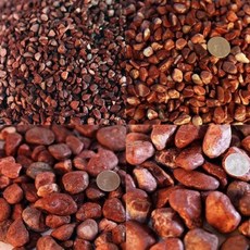 3kg전후 조경 자갈 어항 바닥재 수족관 장식 홍자갈 eso+063Ly, 홍자갈 3kg전후 2호