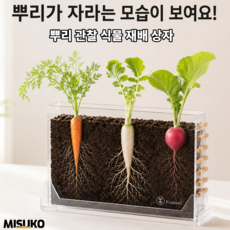 어린이 뿌리 관찰 식물 재배 상자 투명 디자인으로 식물 성장 쉽게 관찰, 1개, 즐기기용 모델(영문판)