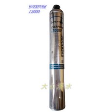 EVERPURE i2000 濾心 美國原裝進口 製冰機專用