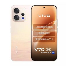 vivo V70 5G 智慧型手機 6.59吋 5000萬畫素超級長焦鏡頭 OriginOS 6, 豔陽金, 全新單機, 256GB