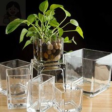 내픽 유리 사각 화병 20x10x10 인테리어화병
