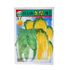 불암플러스 가을 김장배추씨앗2000립 26년포장