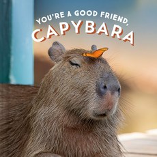 Coupang Global LLC (영문도서) You're a Good Friend Capybara Hardcover, Chronicle Books, English, 9781797210575