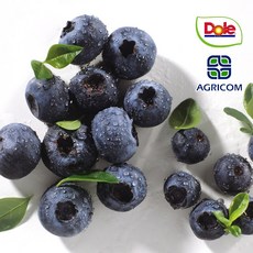 프리미엄 칠레 생 블루베리, 1개, 125g