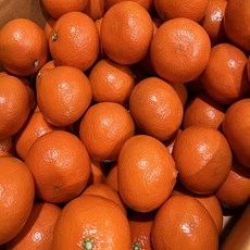 [초특가 할인] 제주 홍매향 소과2.5KG, 1박스