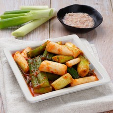 국내산 전라도 대파김치 1kg, 1개