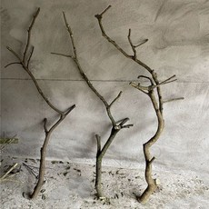 앵무새 놀이터 사다리 횃대 조류 그네 대형 나무 스탠드 정글짐, 1개, C_가죽끈 가지 1.2m 건조 나뭇가지