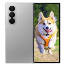 삼성전자 갤럭시 Z폴드7 SM-F966N, 실버 쉐도우, 512GB