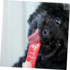 온리진 펫디저트 사과 강아지간식파우치