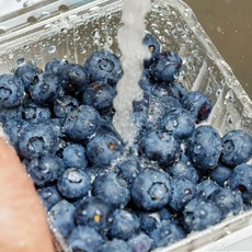 칠레산 생 블루베리 1팩당 125g 2팩, 1개, 상세페이지 참조