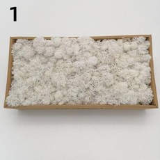 신상품 인공 녹색 식물 영원한 생명 이끼 잔디 DIY 화분에 심은 미니 풍경 가짜 정원 벽 장식 보존, 2)10g, 1