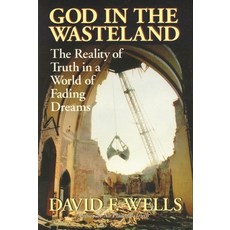 (영문도서) God in the Wasteland: The Reality of Truth in a World of Fading Dreams Paperback, IVP, English, 9780851111643