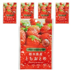KASHIKOBO 토치기현산 토치오토메 건조 딸기 딸기 말랭이 드라이후르츠, 5개, 20g