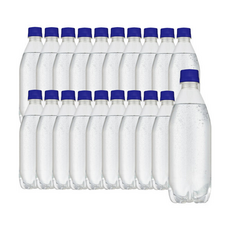 라인바싸(탄산수) 500ml x 20PET, 20개