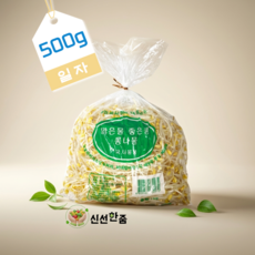 [신선한줌] 일자 콩나물//신선도100% 산지직송 아삭함유지 전골 덮밥 콩나물볶음, 1개, 500g