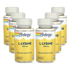 솔라레이 L-라이신 500mg 60베지캡슐, 1캡슐, 6개, 60정