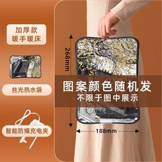 充電式熱水袋 貓熊造型 可愛暖暖包, 1個, 光面水袋顏色隨機【國標精品免插手款】