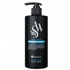 스와니브 남성올인원 에센스로션 500ml, 2개