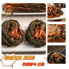 [굿피플] 고들빼기 여수고들빼기 고들빼기김치 생고들빼기 갓김치 김치 꼬들빼기, 1박스, 1kg