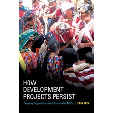 How Development Projects Persist: Everyday Negotiations with Guatemalan NGOs Paperback, Duke University Press