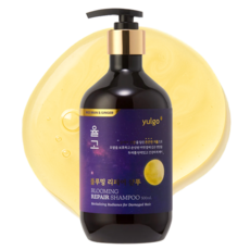 율고 블루밍 리페어 샴푸 탈모증상완화 기능성, 1개, 500ml