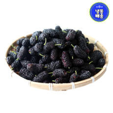 [프레쉬뉴] 산지직송 국산 고창 토종 오디 생과 열매 냉동 급냉 햇 생 오디 과일, 1박스, (냉동)토종오디 5kg(상)