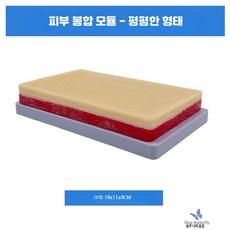 피부 모형 실습 인공 연습용 스킨 패드 연습 교육용 교육, 1개, 피부 봉합 모듈 (평평한 형태)