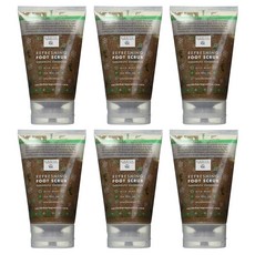 어스테라퓨틱스 리프레싱 풋 스크럽 와일드 민트 118ml, 6개, 1개