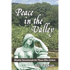 (영문도서) Peace in the Valley Paperback, Isaiah 26:3 Publishing, English, 9798218560041