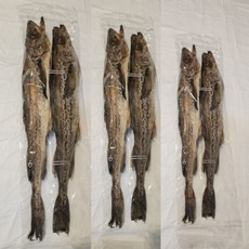 세기물산 국내가공 통황태 대용량 맥주안주 통명태 명태, 1세트, 44cm~46cm(10미)