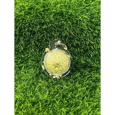 龍普隆 龍波隆 稻塔幸運之花牌，大師加持，招財納福，保平安，隨身攜帶, 金色