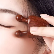 막힌 림프 뻥 뚫어주는 달팽이눈 섬세괄사, 단일, 2개