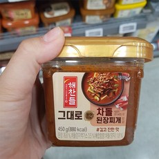 해찬들 그대로끓여먹는 차돌 된장, 1개, 450g