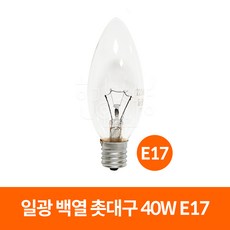 일광전구 일광 백열 촛대구 40W (220V), E17_전구색(노란빛), 1개