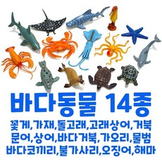 캐스비 네이처 소프트 바다 생물 피규어 14종, 1세트