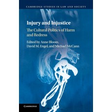 (영문도서) Injury and Injustice Paperback, Cambridge University Press, English, 9781108413282
