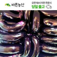 < 바른농산 > 국내산 햇가지 못난이 상품, 1개, 1kg