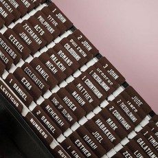 UPAFEXXI -옷 성경 탭 여성 및 남성용 성경 탭(화이트 엠보싱 레터링) 대형 프린트 스티커 읽기 및 부착이 쉬움 쉬운 탐색을 위한 66장 라벨(브라운), 브라운1